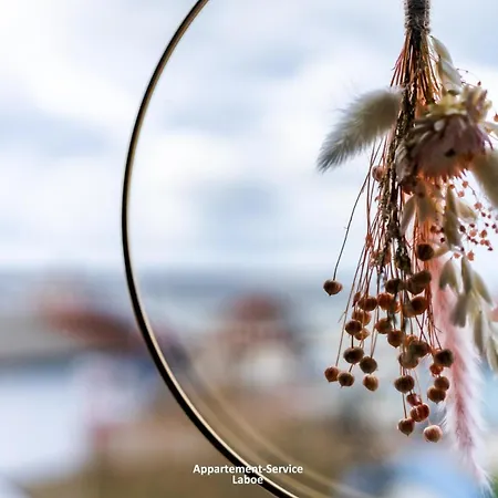 Cornils
